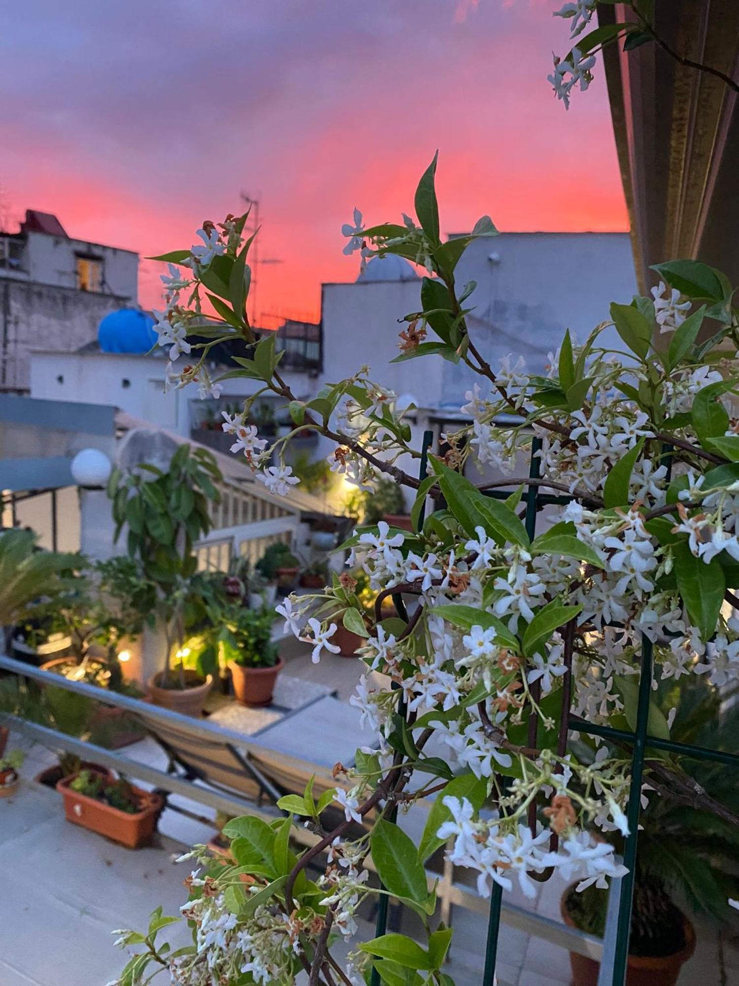 Casa Franzese Naples